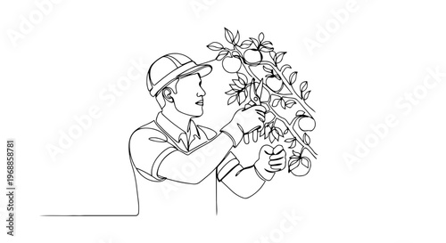 Gardener pruning a tree one line drawing. Continuous line art vector illustration of spring orchard maintenance. Man working in garden graphic