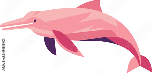 Pink dolphin, vector dolphin illustration, marine mammal, pink animal