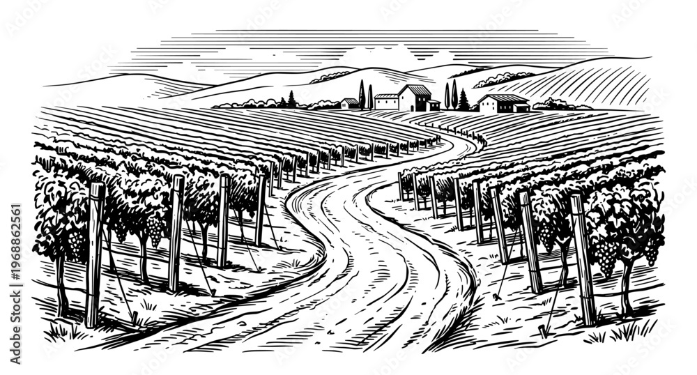 Fototapeta premium Vineyard landscape with winding road and villa vintage engraving
