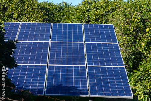 Solar panels harnessing sunlight among vibrant green trees in a sunlit garden.