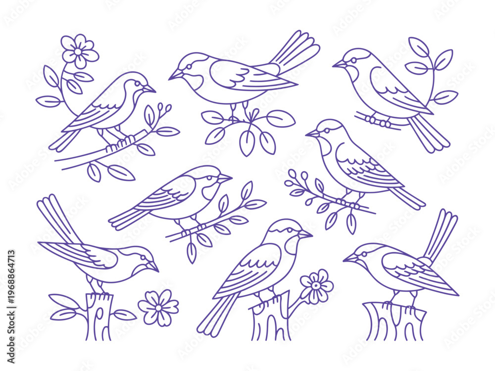 Fototapeta premium Birds perch on branches. Birds.