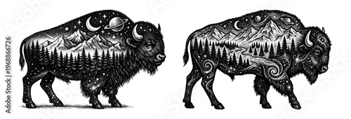 Bison double exposure with mountain forest and night sky
