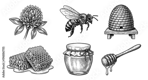 Honey bee set with jar honeycomb beehive clover and dipper hand drawn