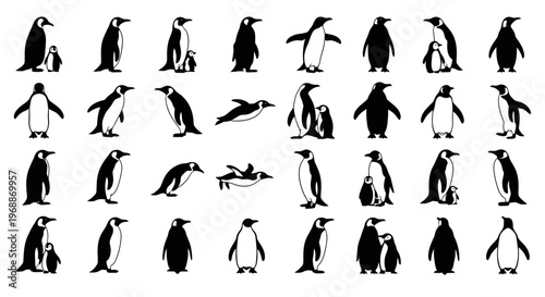 Collection of black and white penguin silhouettes in various poses and actions including standing wading flying and with chicks isolated on a clean white background