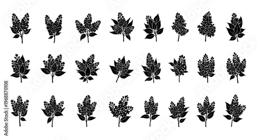 Collection of black silhouette sprigs of lilac flowers and leaves isolated on a white background representing spring botanical elements for design and decoration