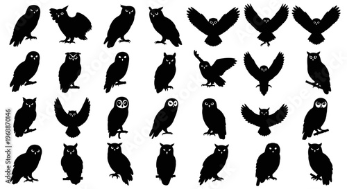 Collection of diverse owl silhouettes in various poses showcasing different wing positions and body stances against a clean white background ideal for graphic design
