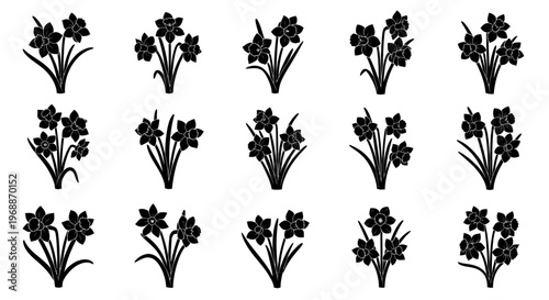 Collection of silhouette icons representing daffodil flowers in various arrangements and bunches ideal for spring themes floral designs and botanical graphics isolated on white
