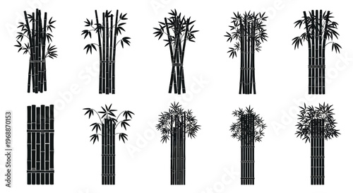 Collection of diverse black bamboo plant illustrations showcasing various heights densities and leaf arrangements isolated on a clean white background representing natural growth