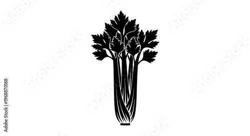 Silhouette of fresh celery stalks with vibrant green leaves isolated on a clean white background representing healthy eating and culinary ingredients for cooking and nutrition