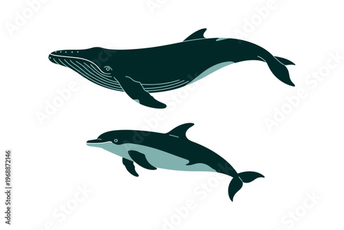 A whale and a dolphin swim together in the ocean water