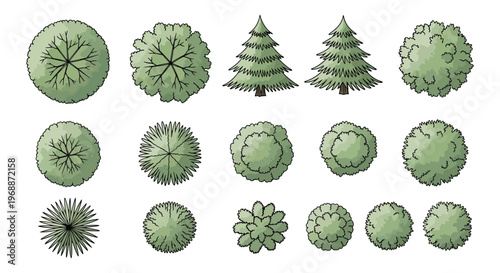 Tree Top View Collection Landscape Plan Watercolor Vector Set