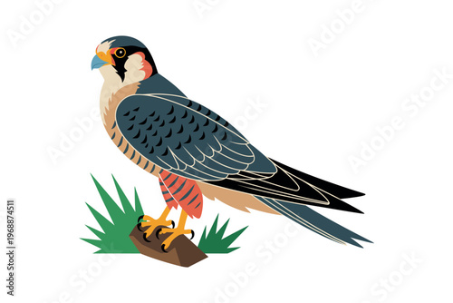 A colorful illustration of a falcon perched on a rock in grass