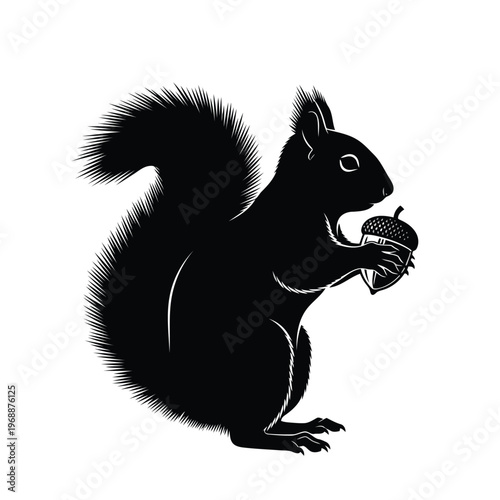 A cute squirrel holds an acorn in forest standing on hind legs