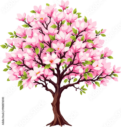 Magnolia tree with soft pink blossoms and green leaves, elegant spring landscape illustration perfect for botanical and nature themed projects