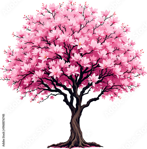Large magnolia tree in full bloom with dense pink blossoms, detailed spring garden illustration ideal for landscape and decorative use