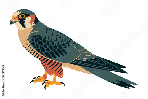 A colorful illustration of a bird of prey with vibrant feathers and sharp talons standing on a plain white background.