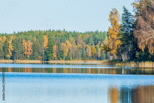 Autumn lake forest reflection landscape