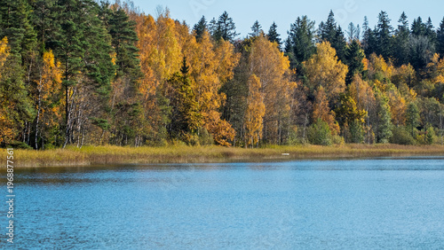 Colorful autumn forest reflecting in a calm lake on a sunny day.