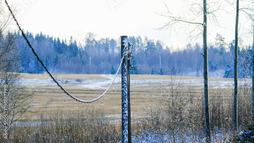 Icy power lines over a winter field at dawn.