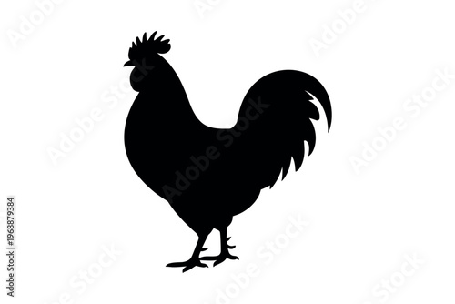 A black silhouette of a rooster standing on a white background