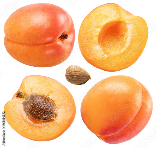 Collection of apricots, apricot slices and pits isolated on white background. File contains clipping paths.