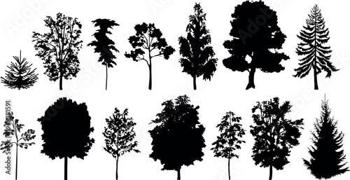 фотографія Set of tree silhouettes: Deciduous and coniferous species
