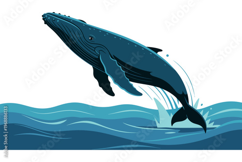 A large whale jumping out of the ocean water with a white background