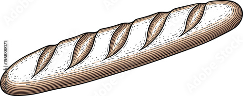 A freshly baked baguette on a clean white background for culinary use