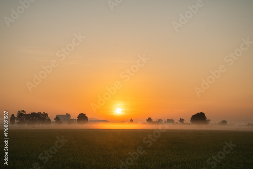 Sunrise over misty countryside with industrial silhouettes — a serene blend of nature and structure
