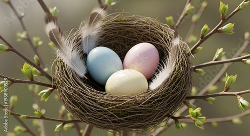 Bird nest filled with pastel Easter eggs and soft feathers nestled among budding spring branches in a delicate nature scene