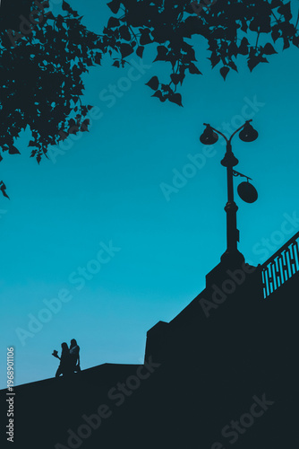 Silhouette of a couple walking together on a city street at dusk, captured from a low angle. The scene features a vintage street lamp and leafy tree branches against a smooth blue gradient sky