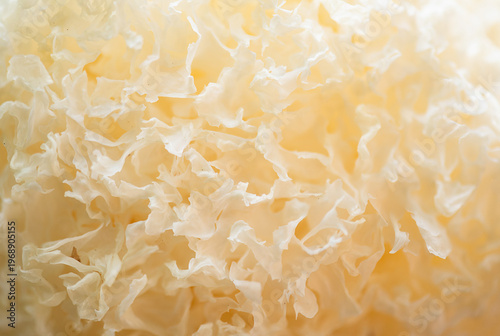 Tremella fuciformis mushrooms on natural background.