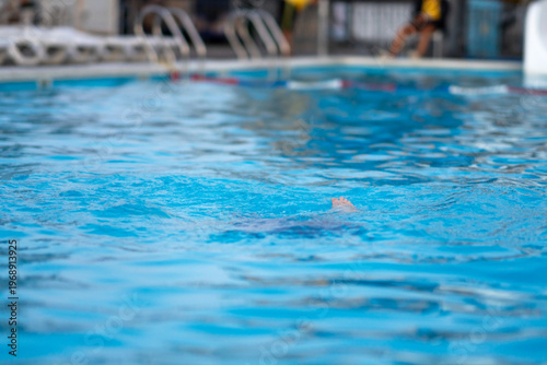 The boy bathes, swims and dives in the pool. Summer vacation and travel concept. Peaceful tropical summer holiday, travel, relaxation, summer vacation,