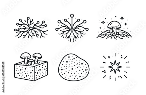 Line vector icons of mushroom mycelium forming edible structures (myco-formation): mycelium threads, branching node, growth arc,