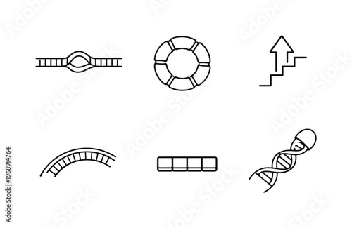 Line style icons of telomerase function elements: RNA template band, protein subunit ring, elongation step marker, telomere