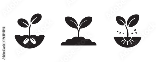 Plant growth stages vector illustration seed sprouting seedling and root development