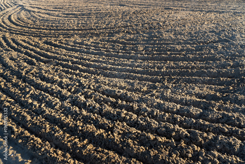 The coastline with plowed, cleared sand ready for the beach season