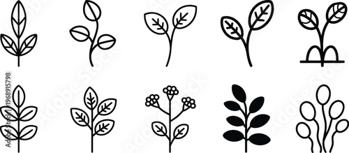 Botanical Growth Outline Icon Set, Plant Life Cycle Stages from Seed, Sprout, Seedling to Mature, Flowering, Fruiting and Wilting, Minimal Line Vector Illustration for Education and Infographics