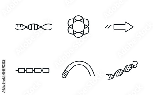 Line style icons of telomerase function elements: RNA template band, protein subunit ring, elongation step marker, telomere