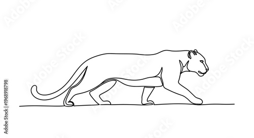 Puma Walking Continuous Line Art Isolated on White Background