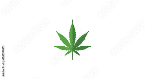 A vibrant green seven-pointed cannabis leaf is displayed with perfect symmetry and sharp serrated edges against a clean and bright white background.