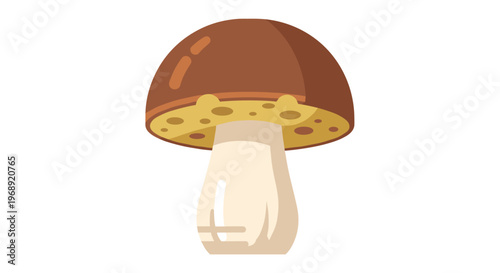 A single edible porcini mushroom with a sturdy cream-colored stem and a smooth chocolate brown cap stands isolated against a pristine white background in bright light.