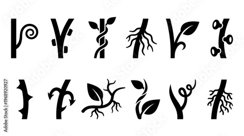 Collection of diverse plant stems, roots, leaves, tendrils, and thorns illustrating various botanical growth forms and structures.