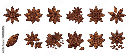 Star anise spice collection with whole pods, seeds, and a cinnamon stick, perfect for culinary and decorative use.
