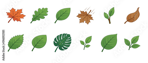 Collection of various cartoon leaves in different shapes and colors representing seasons and diverse plant types.