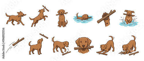 Brown dog playing with sticks in various fun activities, including running, jumping, swimming, and fetching.