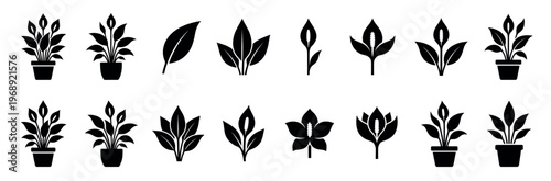 Plant icons collection featuring potted houseplants, individual leaves, and stylized peace lily flowers in a modern silhouette design.