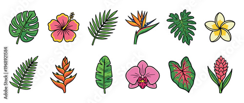 Tropical flowers and leaves set featuring various exotic plants in a colorful cartoon style, perfect for summer designs.