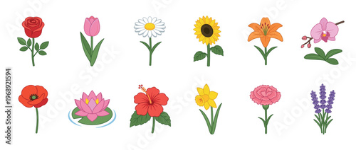 Colorful cartoon flowers collection featuring a variety of popular blossoms like roses, tulips, sunflowers, and lilies in a vibrant illustration.