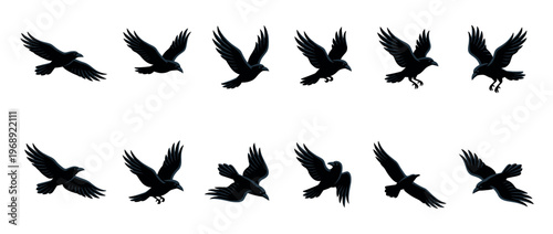 Black crows flying in different positions showcasing various stages of their graceful movement and flight sequence.